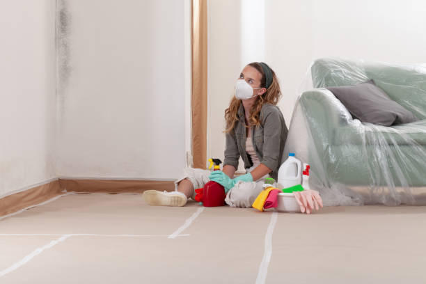 Reliable Mold Cleanup contractor in Auburn, KY by WQB Mold Removal